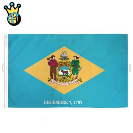 DELAWARE - 3X5ft POLY FLAG